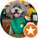 Taisuke profile picture